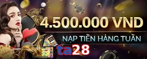 ta28