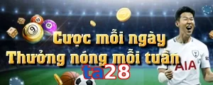 ta28